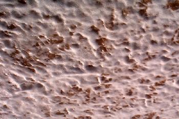 Bilderr�tsel - Was ist das?