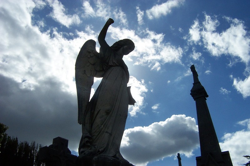 Partyschaum: Dublin September 2005 Am Stadtrand von Dublin : Ein alter Friedhof  "abseits des Reisefhrers"
