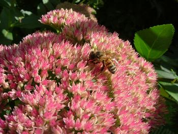 Letzte Kraft tanken ...