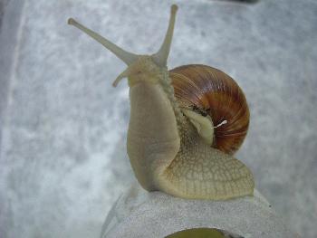 Was gibts denn dort?