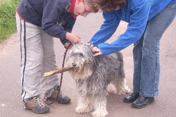 Nica an die Leine, aber den Stock?