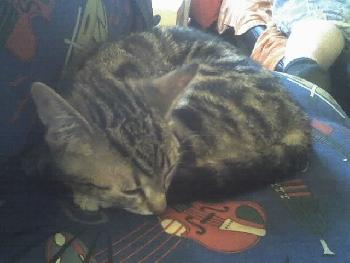 wistful: Sandy ist endlich mal m�de !