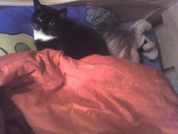 wistful: Lea und Lina