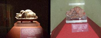 The Sleeping Lady (Archeol. Museum Valetta)