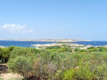 Grne Wlder auf Malta?