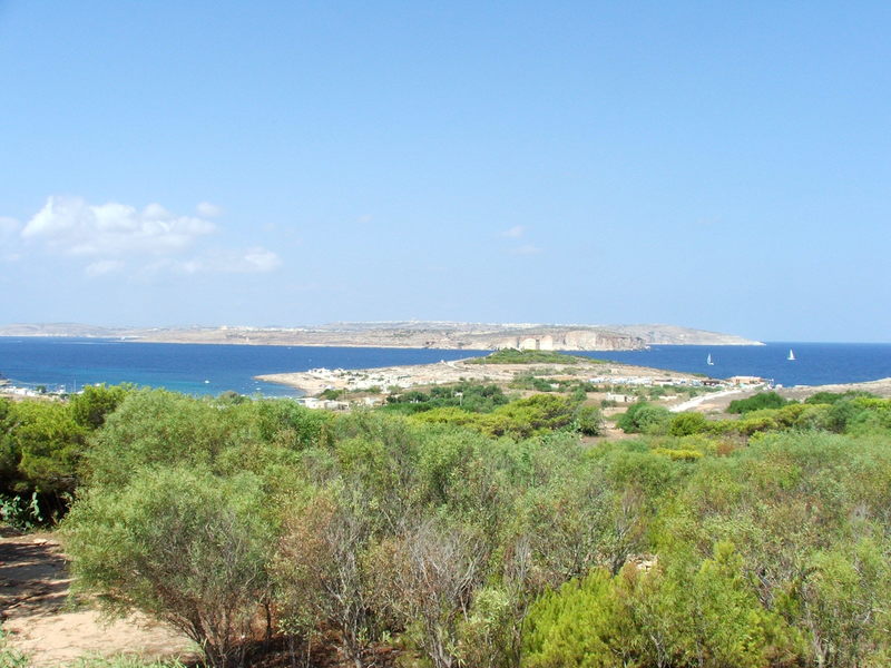 Grne Wlder auf Malta?