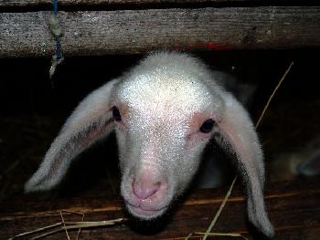 Hey du, ich wil auch noch meine Flasche!!!