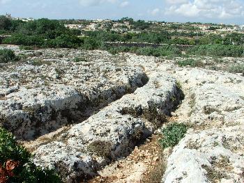 Cart Ruts nahe Clapham Junction