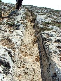 Cart Ruts, Detail