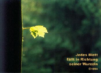 jedes blatt f�llt...