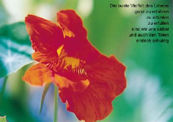 die bunte vielfalt...