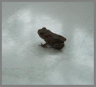 Allein und verlassen ...