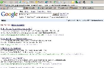 T�rkei sollte google verklagen,  wegen rassistischer �usserungen