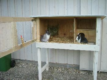 Unser Zuhause ( selbst gebaut ) ..