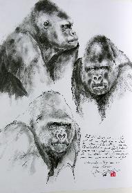 Ivo Portrait eines  Gorilla Gentlemans