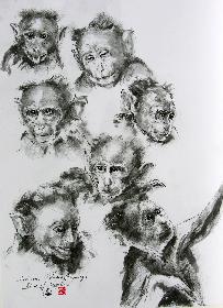 Portraits indischer Hutaffen