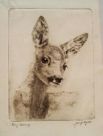 Orig. Radierung Portrait eies Rehkiz