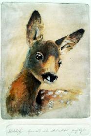 Orig. Radierung Portrait eines Rehkiz mit Aquarell koloriert