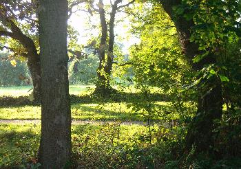 Licht und Schatten