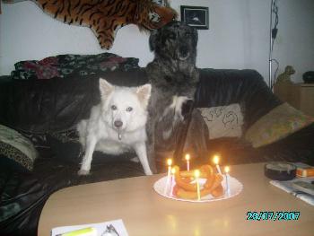 Ronja,s  6.Geburstag