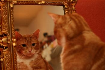 Vor dem Spiegel - der Digge