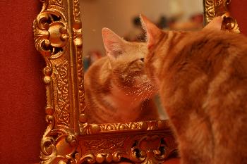 Spieglein Spielglein an der Wand... (der Digge)