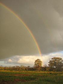 Regenbogen ber dem Erdbeerfeld (rechts)