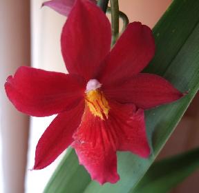 ein neuer Glanz in meiner H�tte