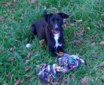 Lucky entdeckt die Welt