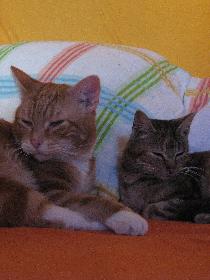 Der Digge und unsere neue, die Curry