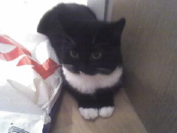 wistful: Oh mann, da is aber jemand giftig....