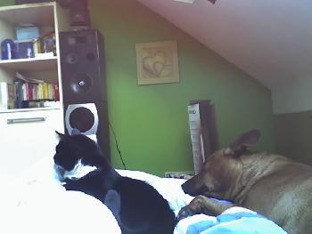 wistful: Nochma dat Lea