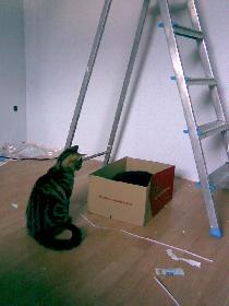 wistful: Hey du, ich will auch ein neues zuhause