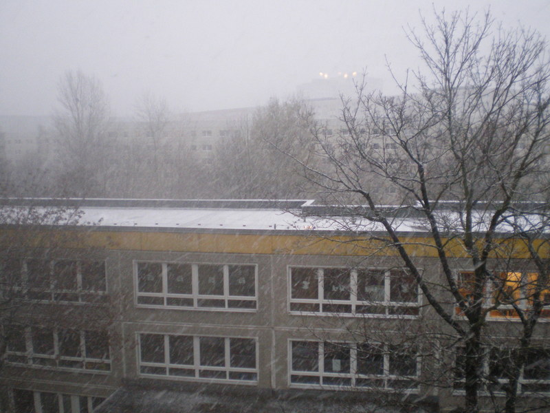Gestern_Der erste Schnee (10.11.`07)
