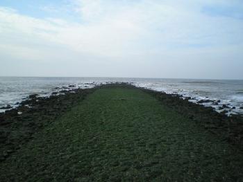 moto72: Die weite See