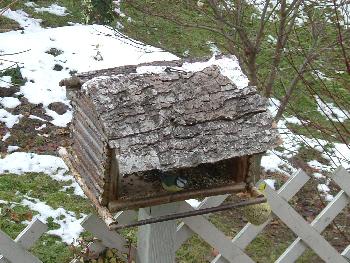 Ich seh Dich da oben !