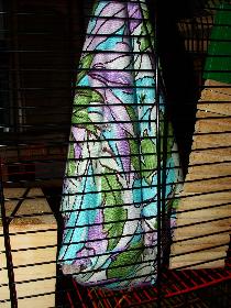 Broscha: Irgendwas stimmt mit dem Bild nicht?!