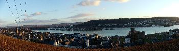 R�desheim am Rhein (Panorama)