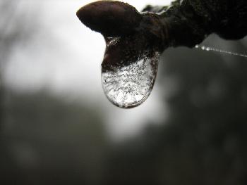 Tropfen in der K�lte