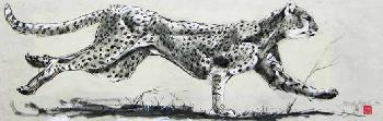 Jagende Geparde 03