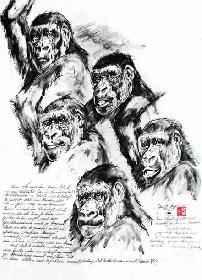 Zyklus German Management 08