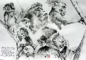 Skizzen von Javamakacken 01