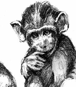 Skizzen von Javamakacken 02