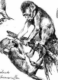 Skizzen von Javamakacken 04