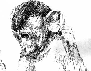 Skizzen von Javamakacken 05