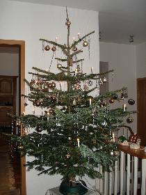 Weihnachtsbaum 2007