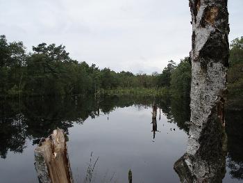 Pietzmoor