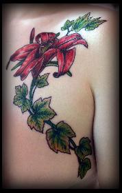 Schl�sselbeinlilie