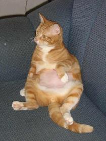 Yeah, mir gehts wieder gut (Digger)