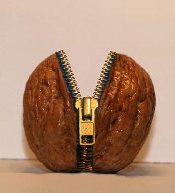 Die neuen Waln�sse sind da